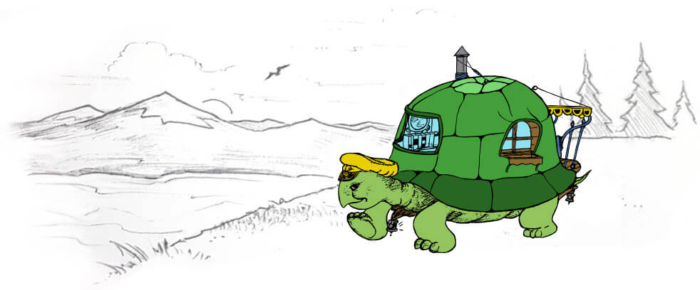 Some Turtles Have Nice Shells Some Turtles Have Nice Shells